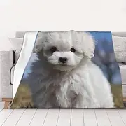 Bichon Frise Dog Throw Blanket 80"X60" Soft Cozy Fleece Blanket Lightweight Warm Bed Blankets for Couch Sofa Bed Chair Home Decor All Seasons Blanket
