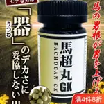 日本原裝馬超丸GX寶器高濃濃縮度馬精華大丸活力爆精洪量60粒裝