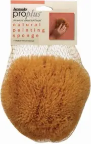 Armaly Brands 15216-7 Sponge PNT Med Txtur6