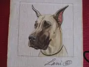Hand-Painted Needlepoint Canvas from Lani - Great Dane??
