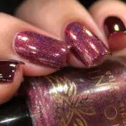Phoenix Stamping Polish 5-Free Blood and Fire Collection