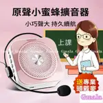 現貨滿減🛒小蜜蜂迷你插卡教學擴音器 隨身擴音機 有線麥克風 擴音喇叭