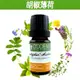 《歐丹尼》【胡椒薄荷純精油10ml-50ml】優質單方純精油系列Peppemint Arvensis