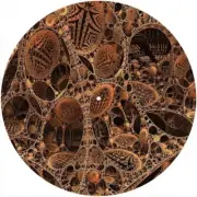 Slipmat Slip Mat Felt for any 12" Turntable LP DJ Vinyl Record Player FRACTAL 21
