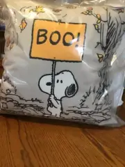 Pottery Barn Peanuts snoopy Boo HALLOWEEN pillow 20x20-NIP