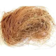 100%Organic Coconut Husk Fiber Natural Coir For Orchid Anthurium Cultivation 50g