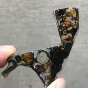 44.6Ct Brenham Olive Meteorite Pendant Olive Meteorite Slice