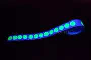 DirectGlow 100pc Glow in the Dark 1 inch Vinyl Luminous Circle Dot Tape Stickers