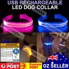 USB Rechargeable LED Dog Collar Nylon Glow Flashing Light Up Safety Collar VIC