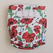 Monarch Ultimate Wipeable Cloth Nappy with Hook and Loop Closure, Remember Them