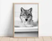 Wolf In The Bathtub Funny Bathroom Wall Art Cute Wolf Taking A Bubble Bath