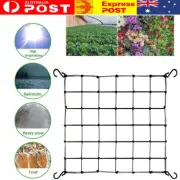 NEW Elastic Scrog Trellis Net w/Hooks Plant Support Netting for Grow Tent AU