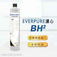 在飛比找PChome24h購物優惠-【Everpure】美國原廠平行輸入 BH2濾心