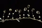 6' Acrylic Beaded Pearl Garland String Light Party Favor Holiday Decor
