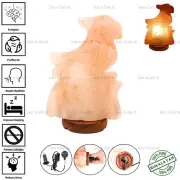 PARROT SHAPE ELECTRIC HIMALAYAN SALT TABLE LAMP PURIFY ROCK NATURAL IONISER