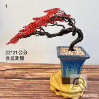 在飛比找蝦皮購物優惠-金絲雕樹004-大 永生花 永生樹 藝術 盆栽 盆景 園藝 