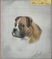 Hand-Painted BOXER Mastiff Dog Needlepoint Canvas 8" x 10"