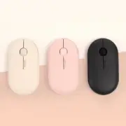 ROYCHE (RX-620) Slim Wireless Noiseless Pebble-type Mouse / 3color/Free Shipping