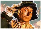 SCARECROW - Wizard of Oz * Custom ACEO * Fun Novelty * Art Card * ATC