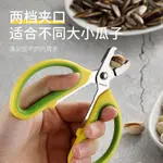 DAD, STAINLESS STEEL CRACKING MELON SEEDS, PEELING AND PEELI