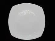 RAYNAUD MINERAL PLATINE DINNER PLATE - 10" 0509E