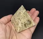 Fossil Stone Pyramid 160g Over 2in Beautiful Chakra,Feng Shui,Reiki Pakistan