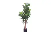 Glamorous Fusion Fiddle Plant 150cm Artificial Faux Plant Tree Decorative Green
