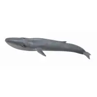 在飛比找蝦皮商城優惠-COLLECTA動物模型 - 藍鯨