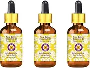 Deve Herbes Pure Catnip Essential Oil (Nepeta cataria) with Glass Dropper Natural Therapeutic Grade Steam Distilled (Pack of Three) 100ml X 3 (10 oz)