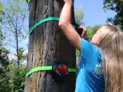 Slackers Tree Climbers