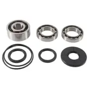Front Diff Differential Bearings Polaris 925 RZR XP 4 TURBO 2016