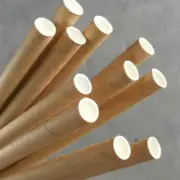 (250pc) X Premium Paper Drinking Straws Regular 6x205mm Eco Friendly BROWN