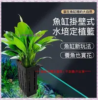 在飛比找Yahoo!奇摩拍賣優惠-魚缸水草掛籃 掛式水草杯 鬥魚隔產盒 孔雀魚產子盒 水族魚缸