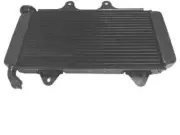 BRAND NEW RADIATOR WITHOUT FAN BEST FITS FOR KTM RC 125 MY 2019 2020 2021