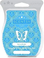 [Scentsy] Berry Bright Bar