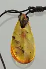 JUMPING SPIDER Genuine BALTIC AMBER Adjustable Leather Pendant 5.1g 230525-15