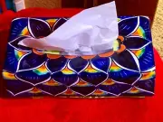 Talavera Mexico Hand Painted Tissue Box Cover Holder Peacock Feather Signed