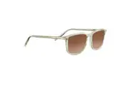 Serengeti Lenwood SS485001 Champagne Translucent / Drivers Gradient Polarised Lenses