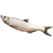 Simulation Fish Doll Plushs Toy Sleep Pillow Aquarium Doll Doll Office Desk Decor