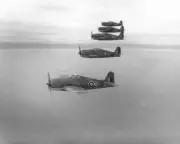 Grumman Hellcat I 1944 Old Aviation Photo
