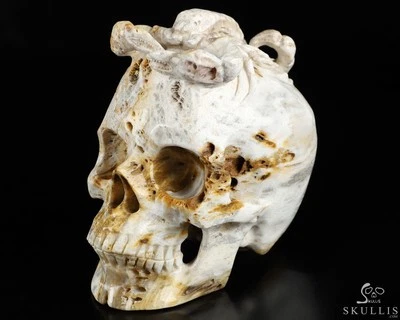 5.1" Petrified Wood Hand Carved Crystal Skull and Scorpion Fine Art Sculpture