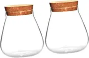 ifundom 2Pcs Micro Landscape Vase Transparent Sealing Jar for Indoor Decorative Planter Corked Hydroponics Container for Home and Office Decor