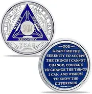 28 Year Sobriety Chips AA Coin Medallion Chip Medal Recovery Anniversary Token