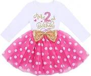 IMEKIS Baby Girls 1st 2nd Birthday Outfit Mouse Ladybug Dress Polka Dots Tutu Skirt ONE Cake Smash Costume for Photo Shoot