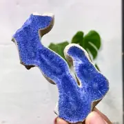 58G Natural Blue Coral Reef Cluster Marine Mineral Crystal Specimen