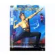 合友唱片 環球精選-麥克佛萊利 舞王 DVD MICHAEL FLATLEY-LORD OF THE DANCE