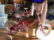 Diamondback Mini Impression Red/Pink