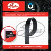 6 Rib Multi V Drive Belt fits KIA SPORTAGE QL 1.6 15 to 22 G4FD Gates 252122B140