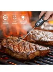 ThermoPro TP02S Instant Read Meat Thermometer