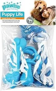 Pawise Puppy Life Teething Toy 4-Pieces Set, Blue